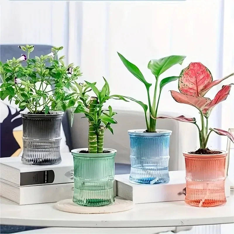 Self-Watering Flower Pot — Transparent Double-Layer Planter That Waters Itself