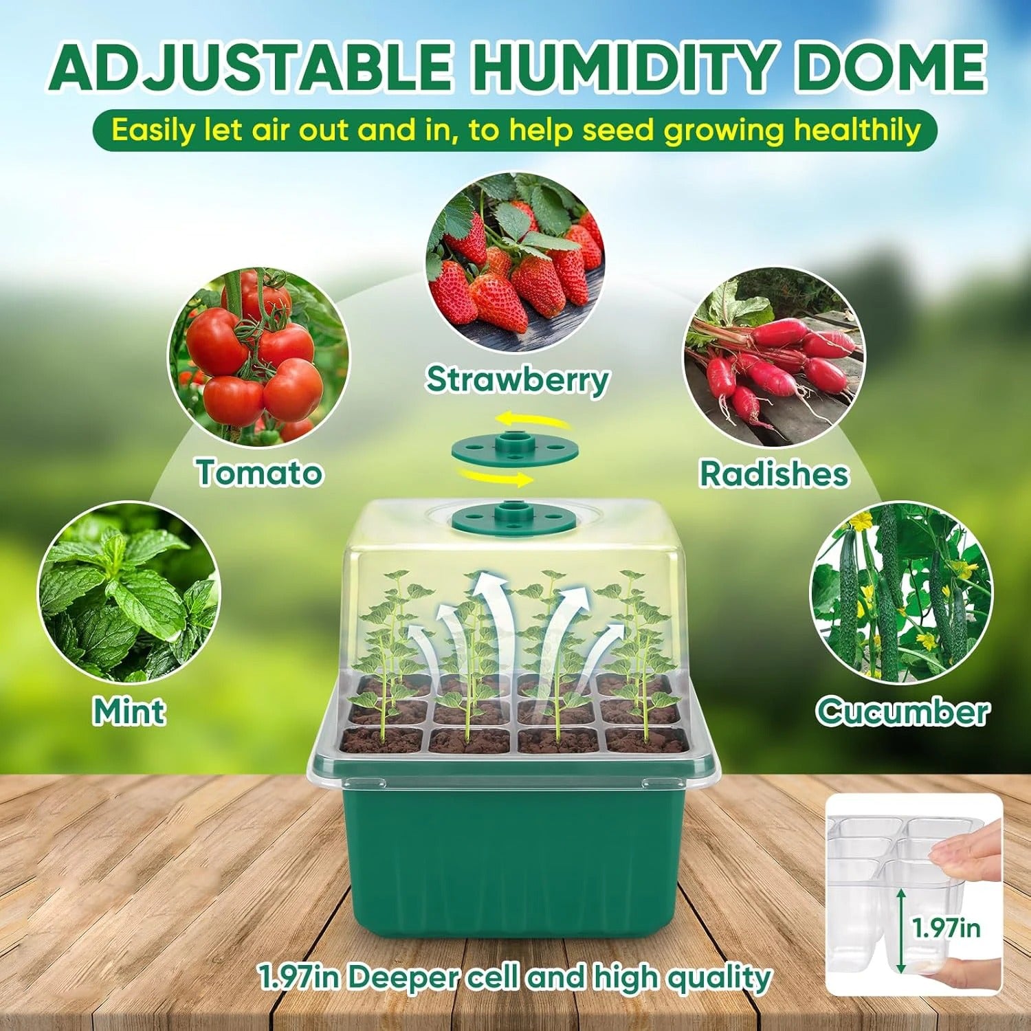 Seed Starter Kit with Grow Light & Humidity Dome (2-Pack)