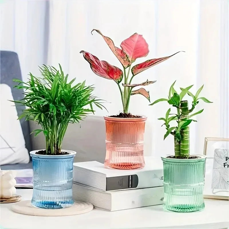 Self-Watering Flower Pot — Transparent Double-Layer Planter That Waters Itself