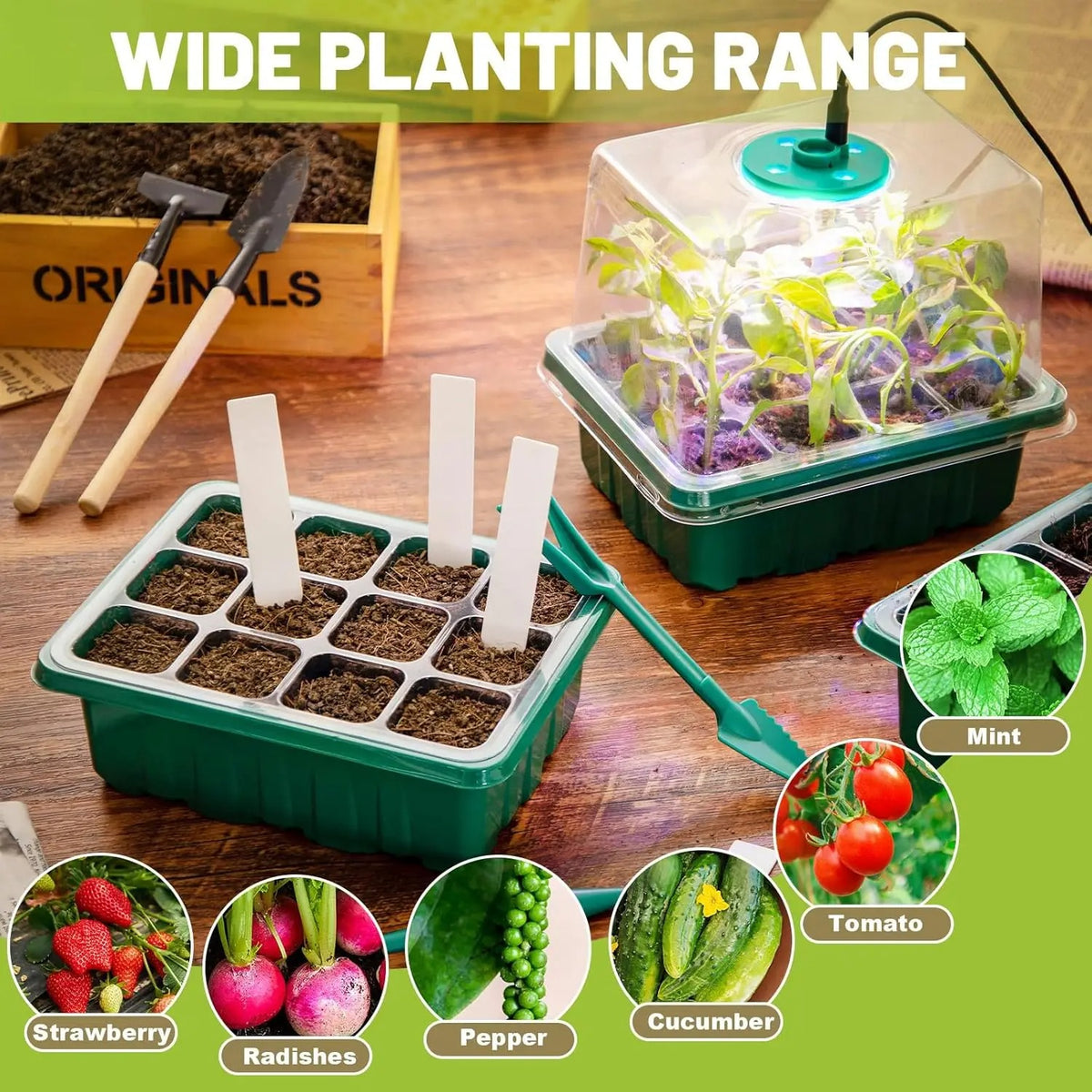 Seed Starter Kit with Grow Light & Humidity Dome (2-Pack)