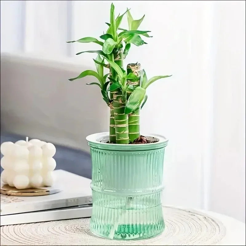 Self-Watering Flower Pot — Transparent Double-Layer Planter That Waters Itself