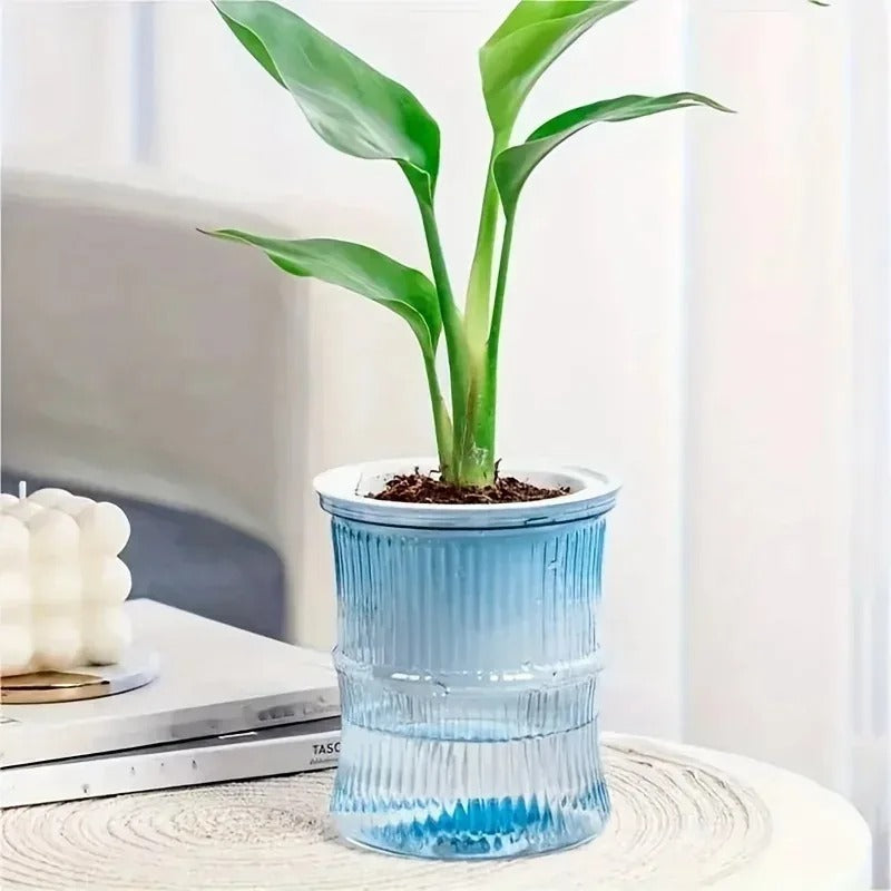 Self-Watering Flower Pot — Transparent Double-Layer Planter That Waters Itself